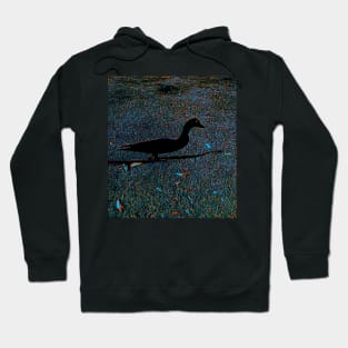 Duck Duck Shadow Hoodie